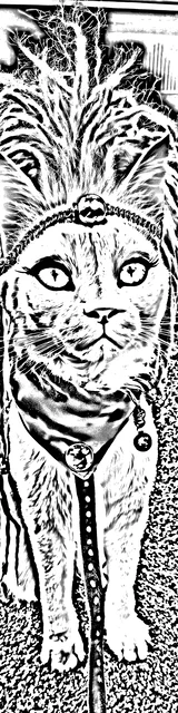Free colorable bookmarks of a cat wearing a headdress